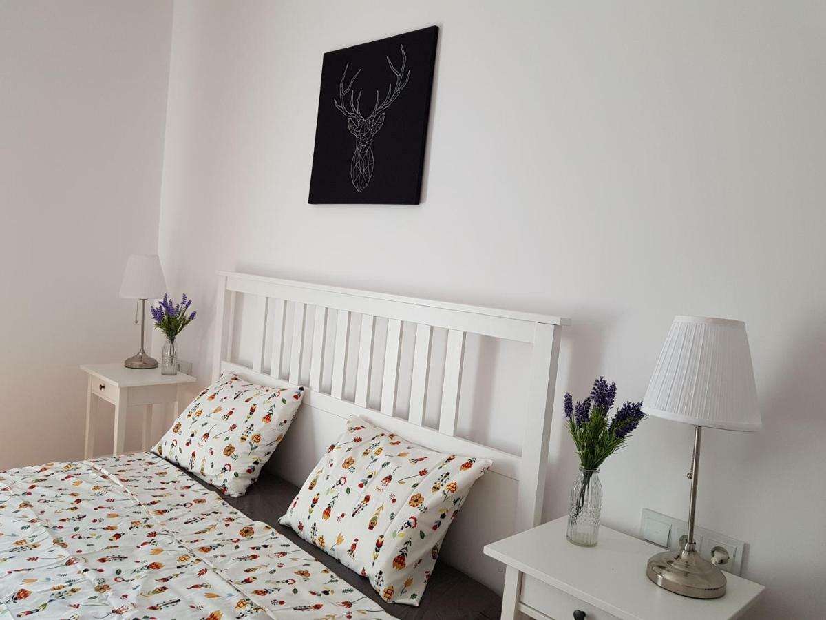 Oberiter Apartments - Center Of Zagreb, Fast Wifi, Ac, Kitchen, Parking Exterior foto